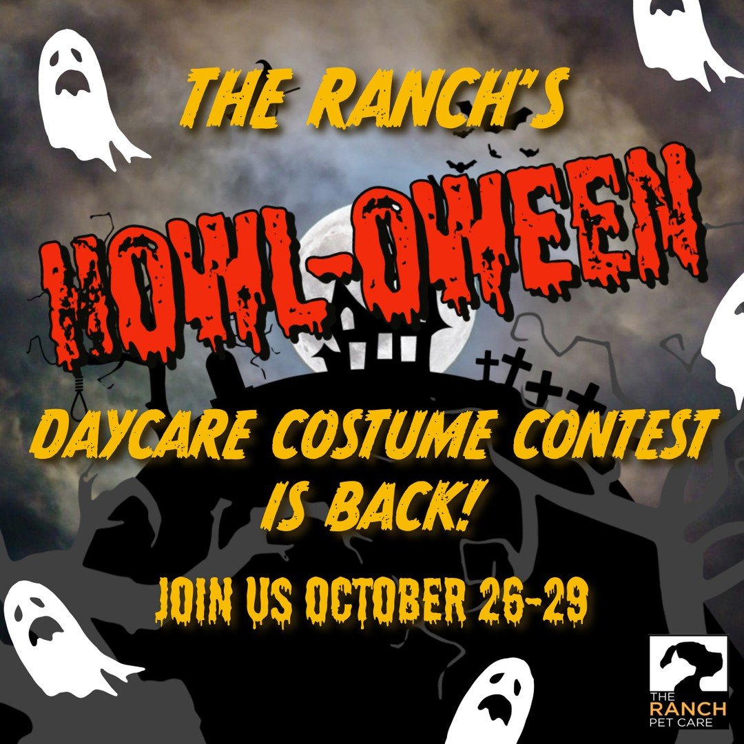 🎃👻Join us for The Ranch's 3rd annual Howl-oween Daycare Costume Contest! 👻🎃 ⁠
⁠
Reserve a daycare space between October 26-29 and send your pup in their spookiest (or cutest) costume!  We will be taking 📷️ of all our contestants and will choose 