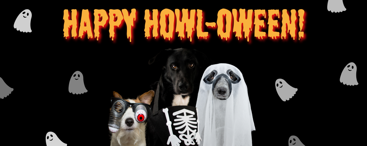 Halloween Banner-2.png