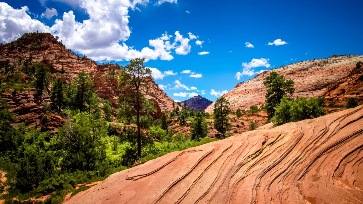 navajo_sand_stone_sandstone_geology_carmel_highway_national-385621.jpg!d.jpg