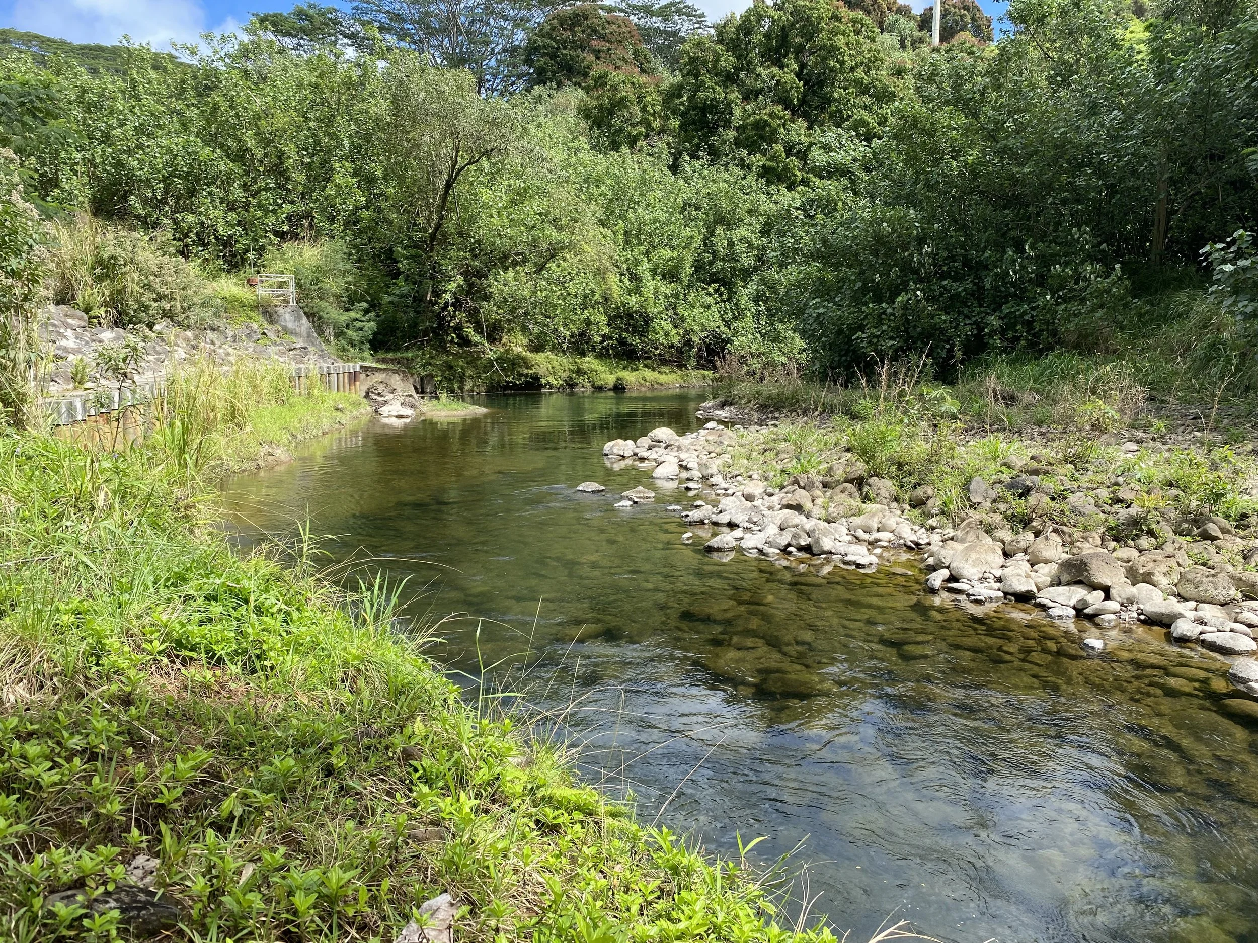 Kauai.. Burma Road Swimming Hole  oo3