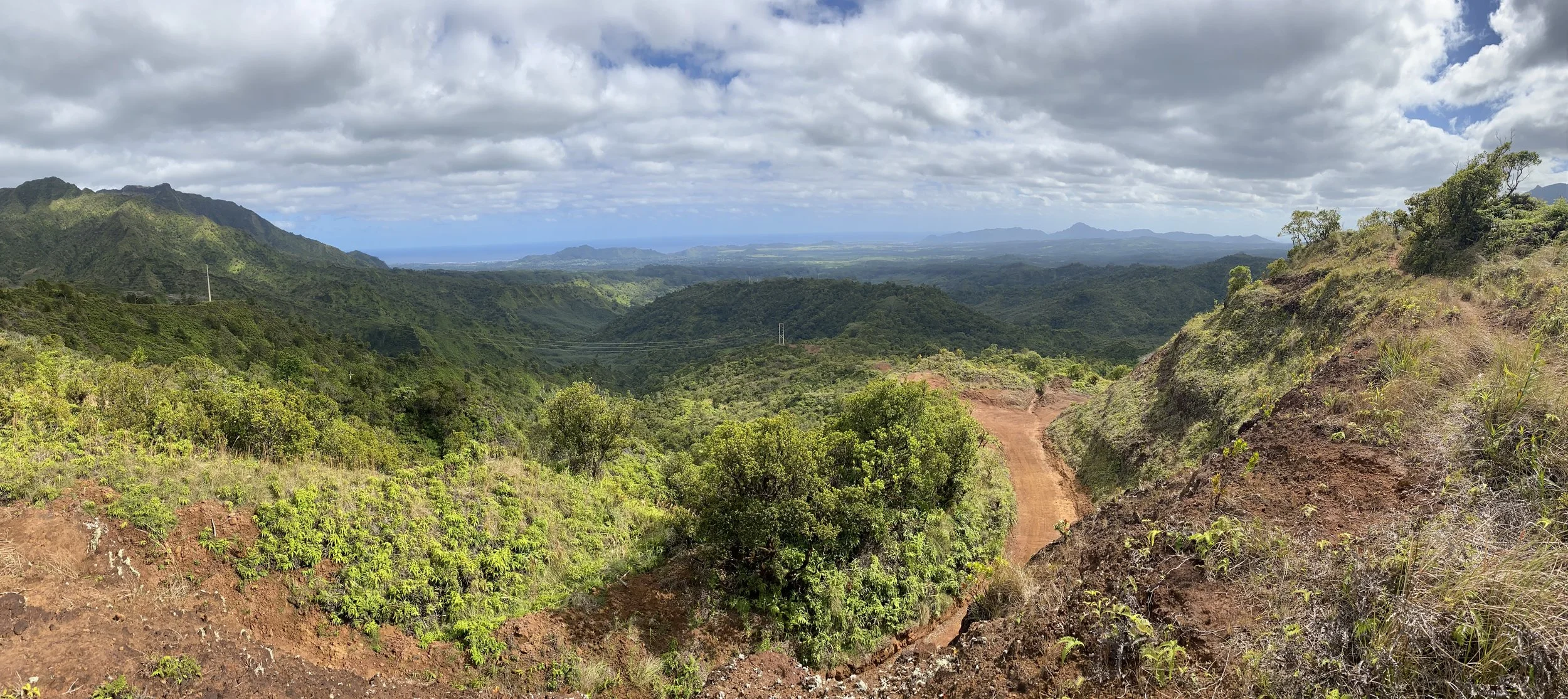Kauai Powerline looking at the Sleeping Giant  oo4