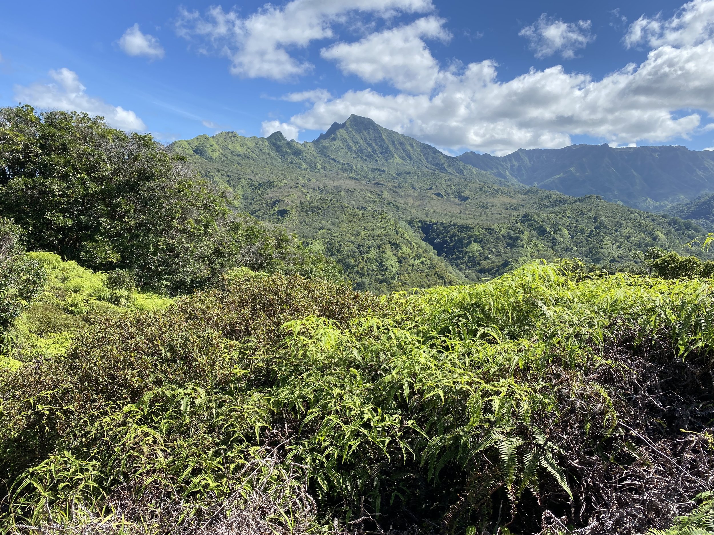 Kauai Lookout #3 looking at Backside of Mt. Namahana   oo4