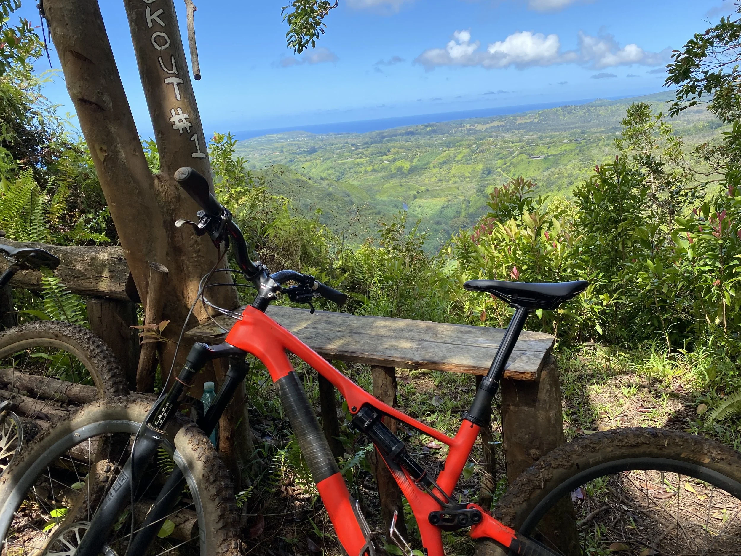 Kauai Powerline Lookout # 1 looking at Creater Hill and Kilauea  oo9