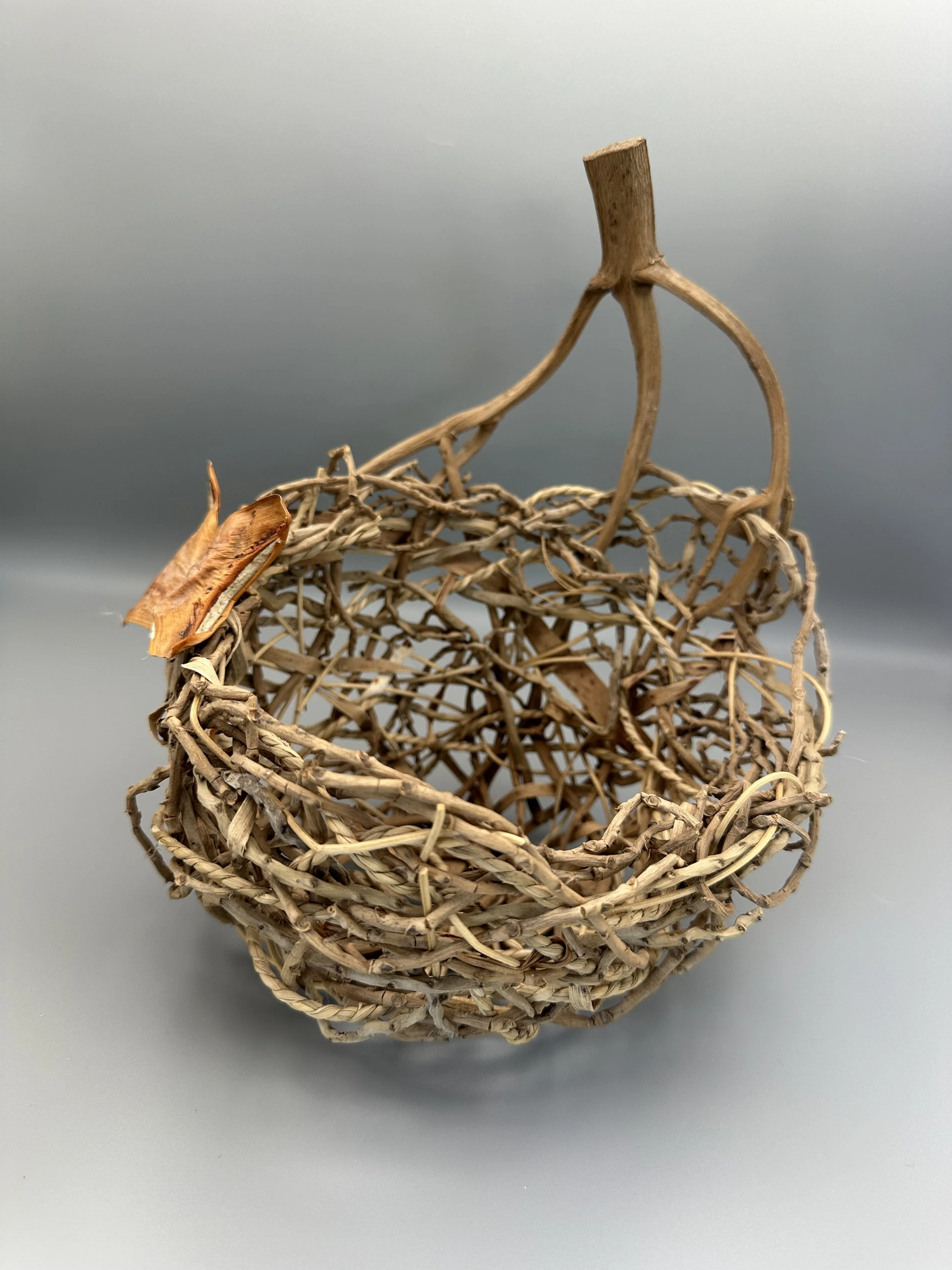 Artist:  Cookie Hanson