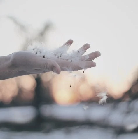 There is a profound truth in this universe; life is energy, it cannot be reversed or destroyed.  My friend, YOU are energy, which means you are an eternal being, beauty is an inside job, perfection is an inside job, success is an inside job.  These a