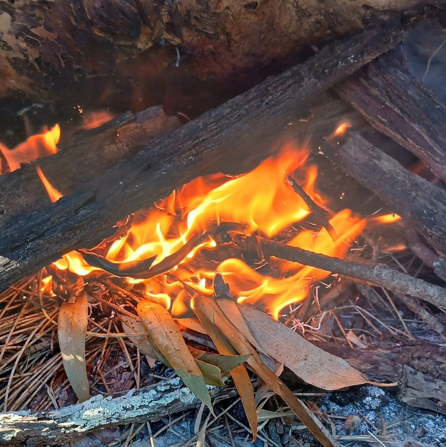 &lt;&lt; :: Solar Eclipse Ritual :: Renew our commitment to being the feminine worthy of trust in relationships :: &gt;&gt; ⁠
⁠
Opening:: Begin with a grounding breath.  Place a hand on your heart and your womb, feeling the connection between body an