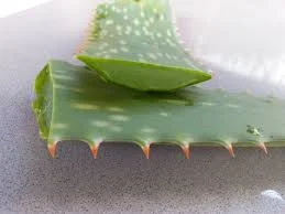 Love me some ALOE!