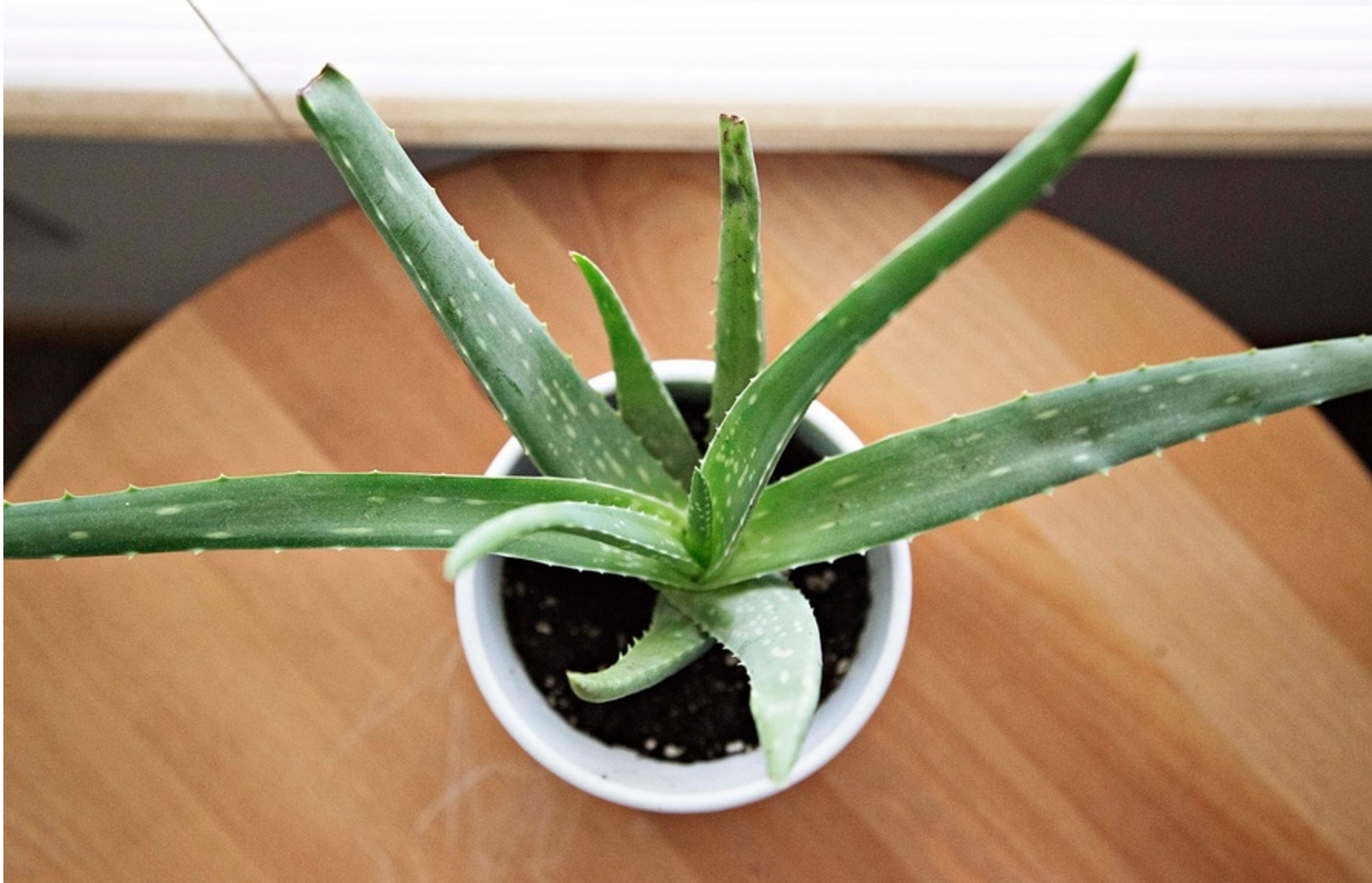 Acne, Blemishes, Dry skin, Wrinkles?  Not Anymore!!