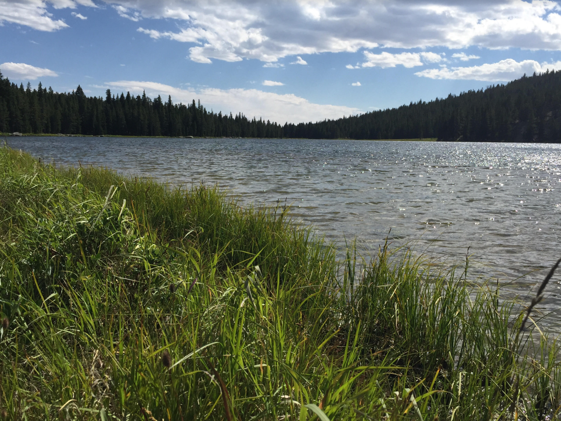 Connect With Nature &amp; You Will Reconnect With Yourself