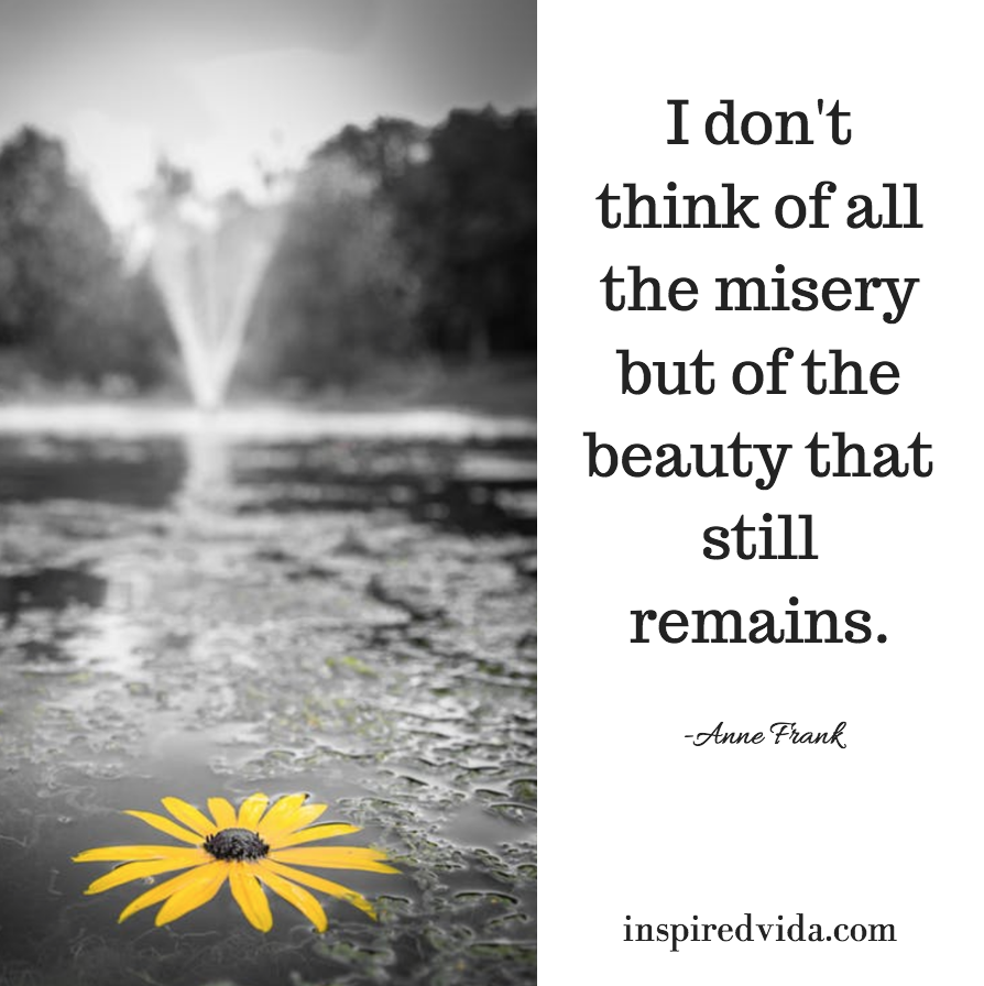 beauty that still remains