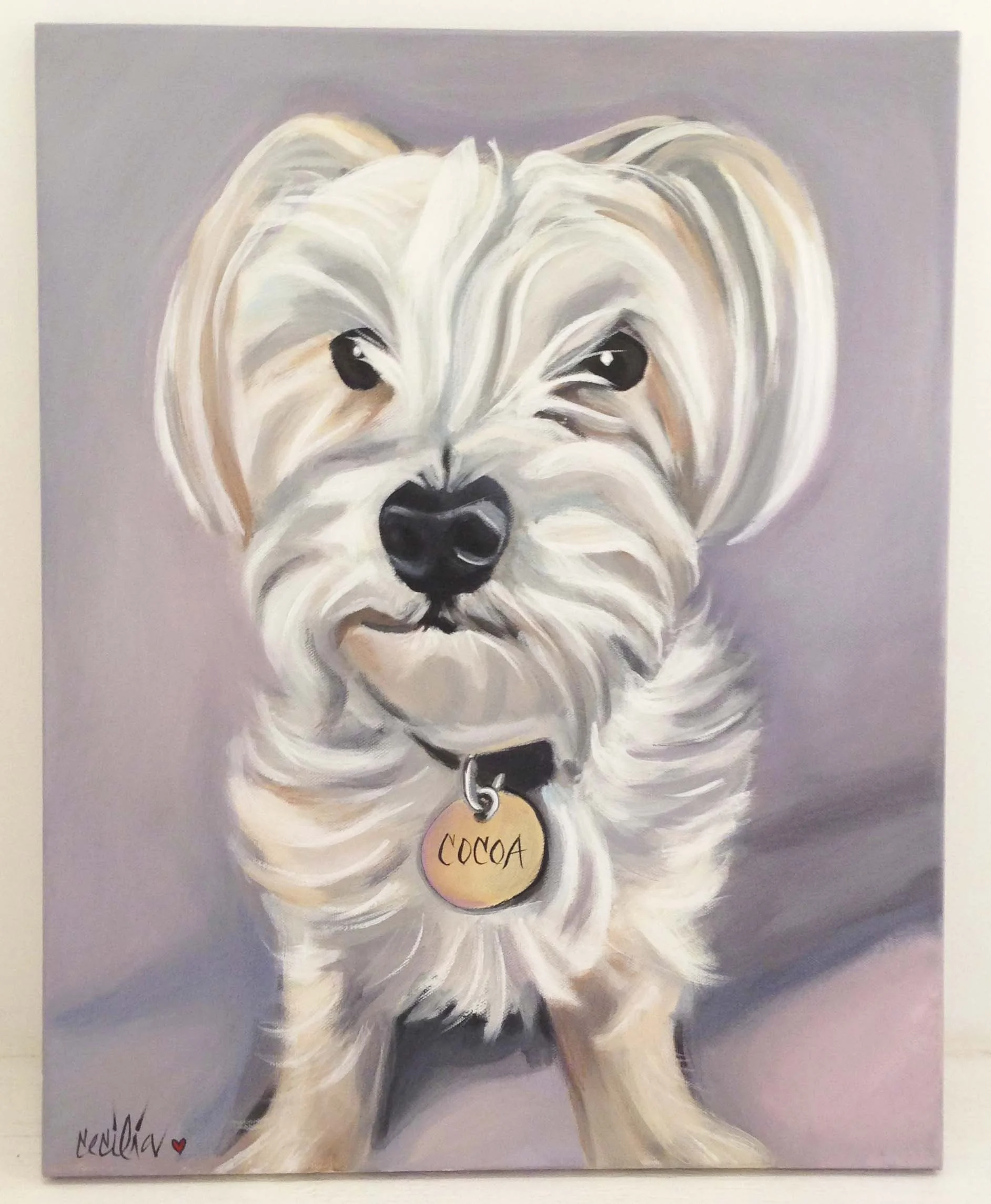 cocoa couture- yorkie/poodle mix 16x20