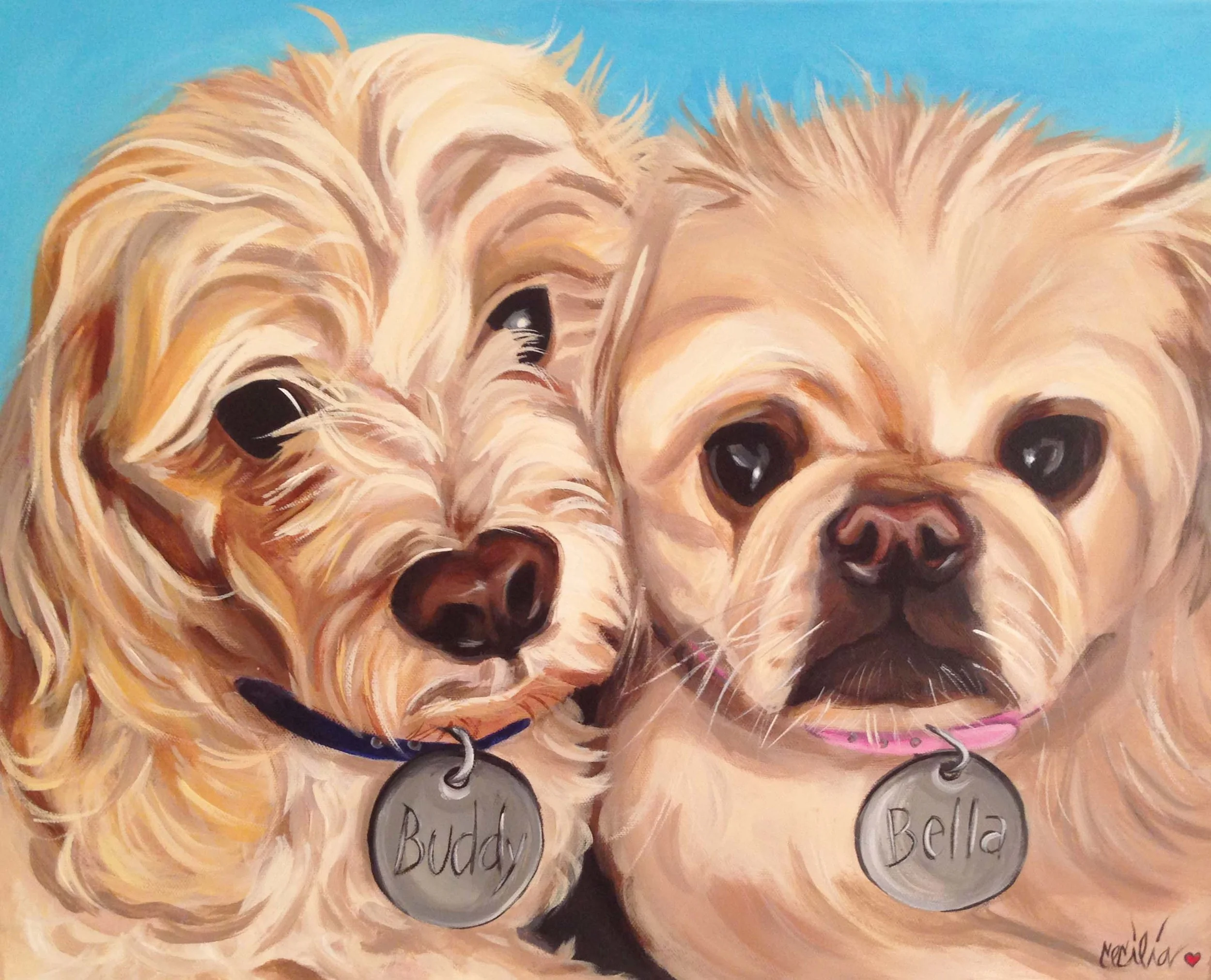 Buddy -cockerspaniel/poodle Bella-pomeranian - 16x20