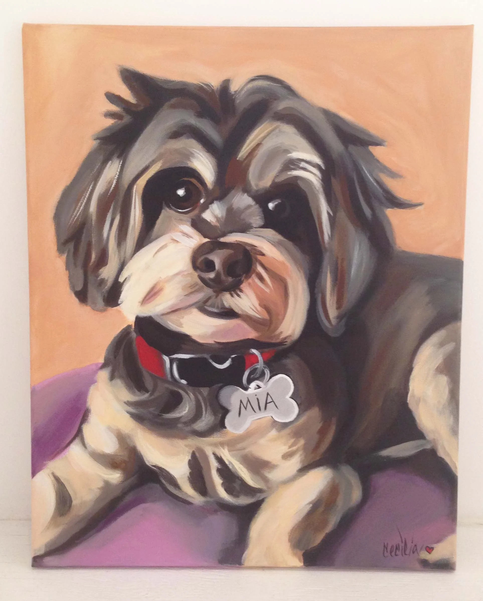 mia- pomeranian/poodle mix-16x20