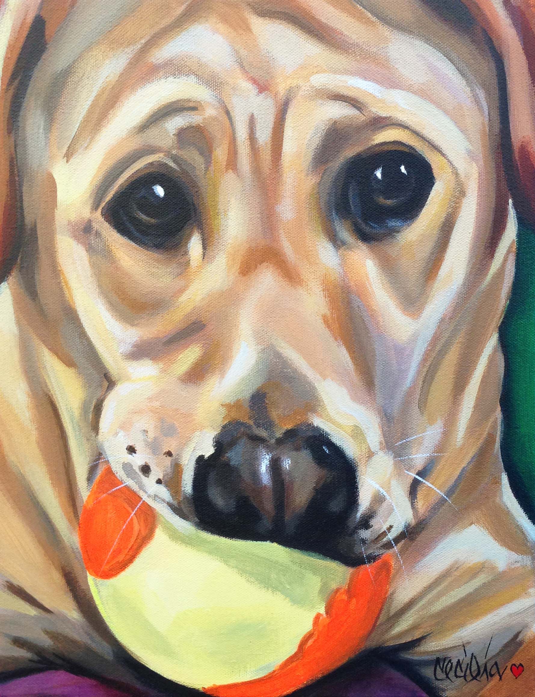 winnie- yellow lab -11x14