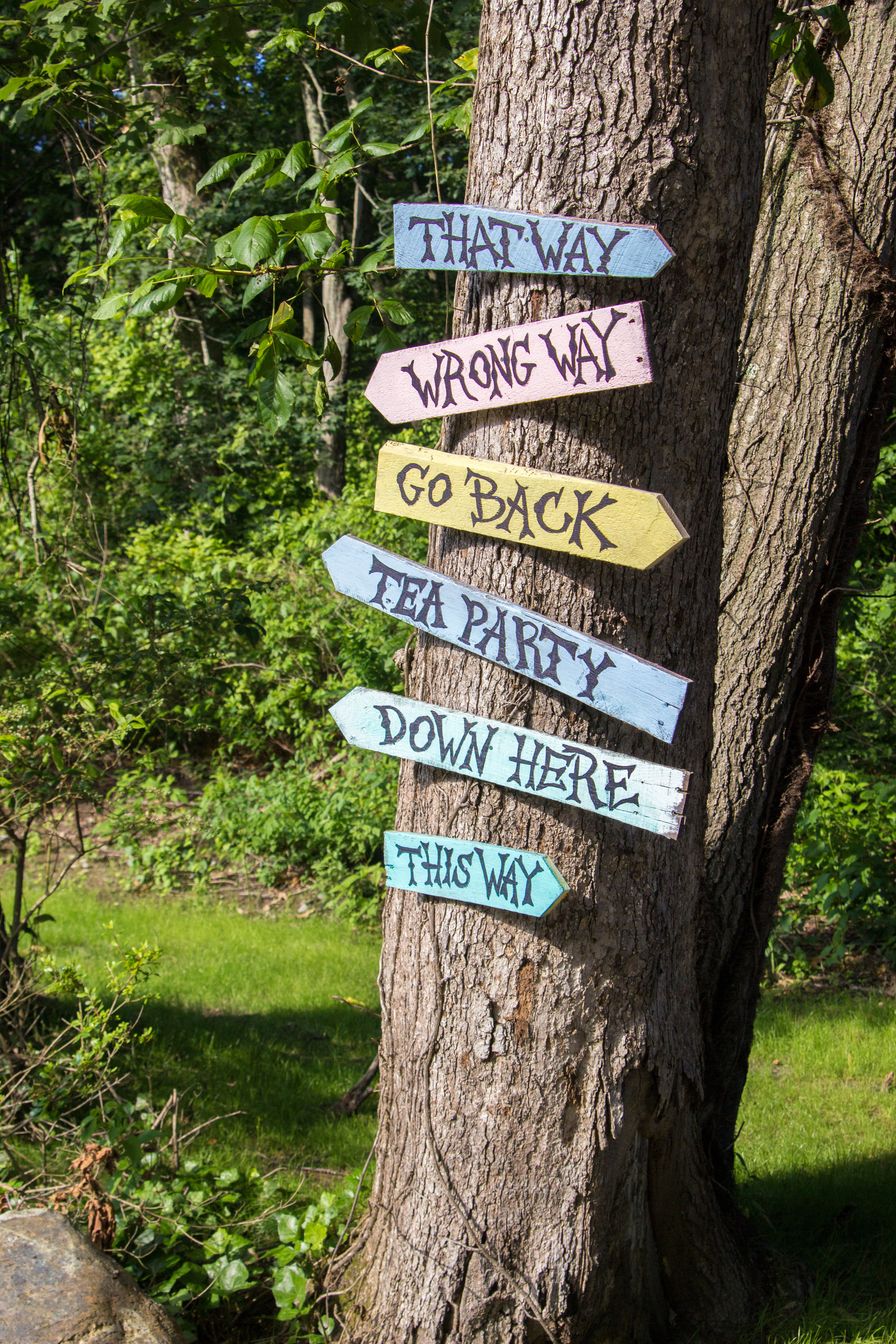 tree_signs.jpg