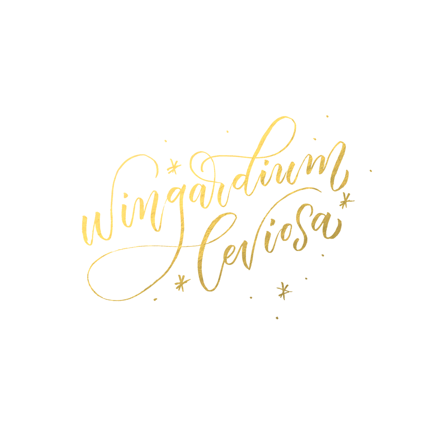 wingardium-leviosa.png