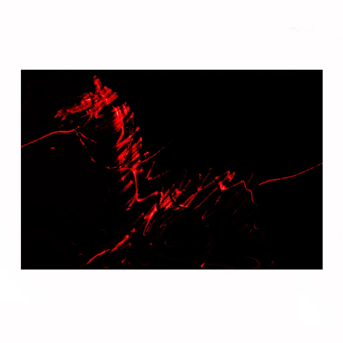 caballo_acrilico.jpg