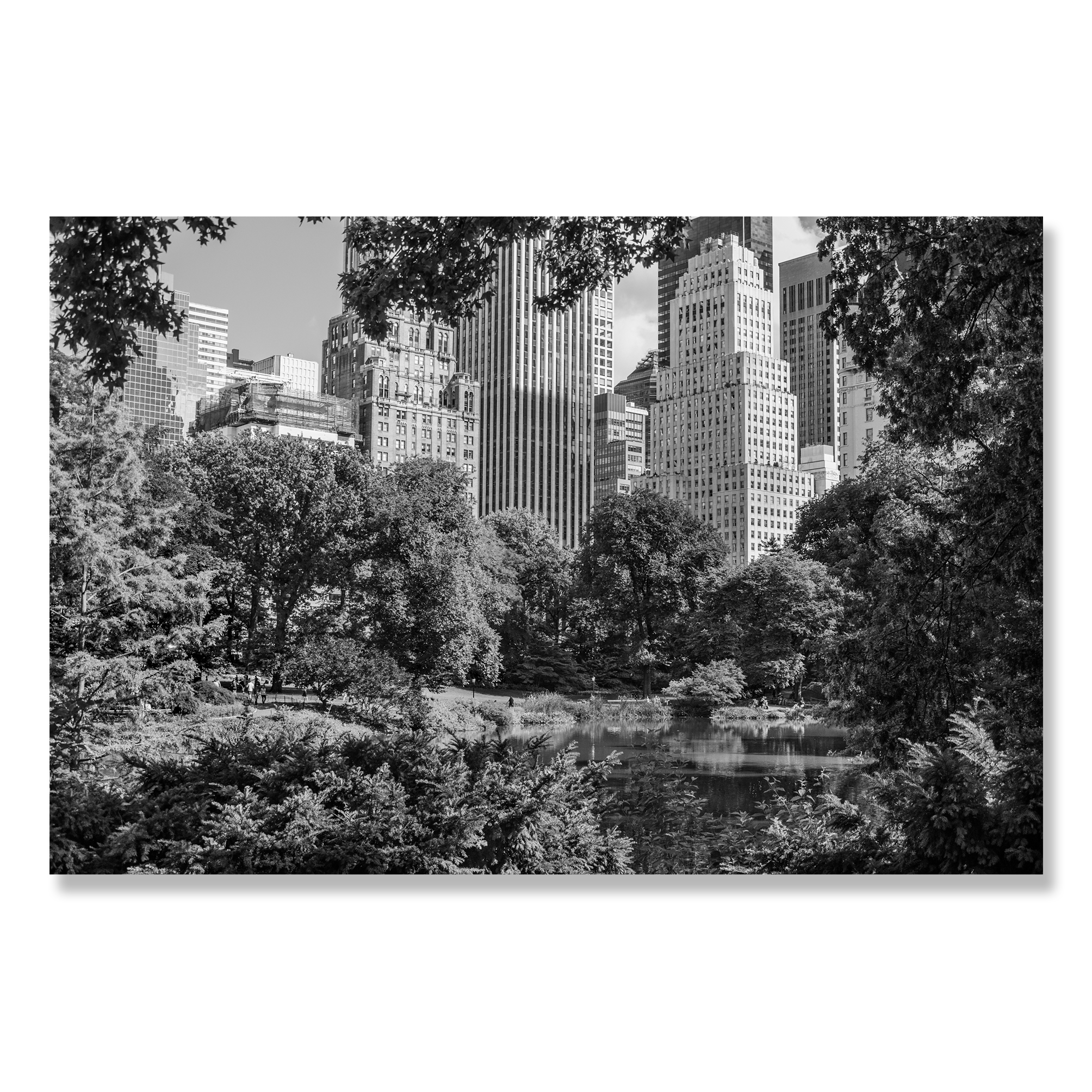 Central Park.png