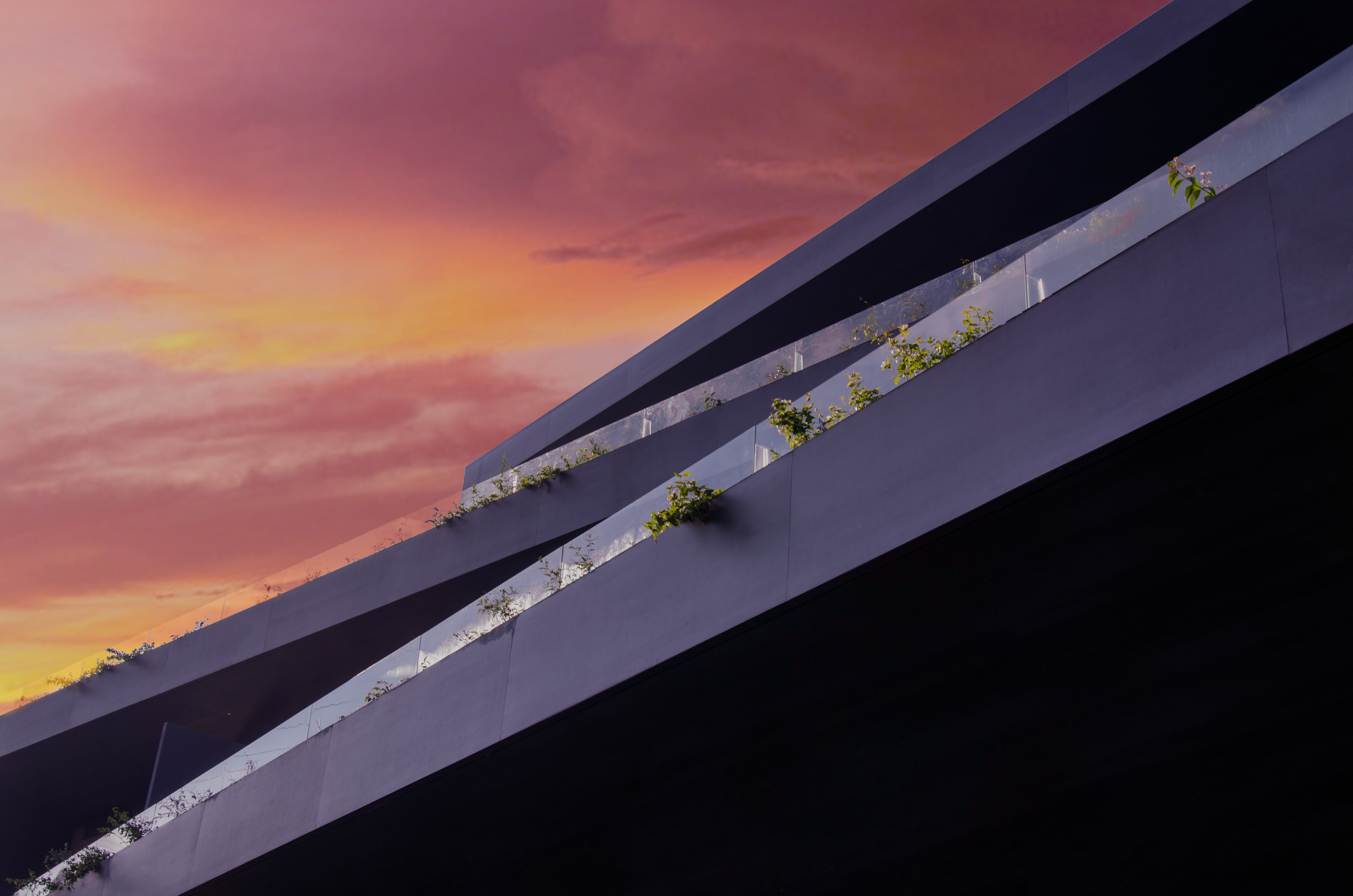 DSC_4649_Final.jpg.png