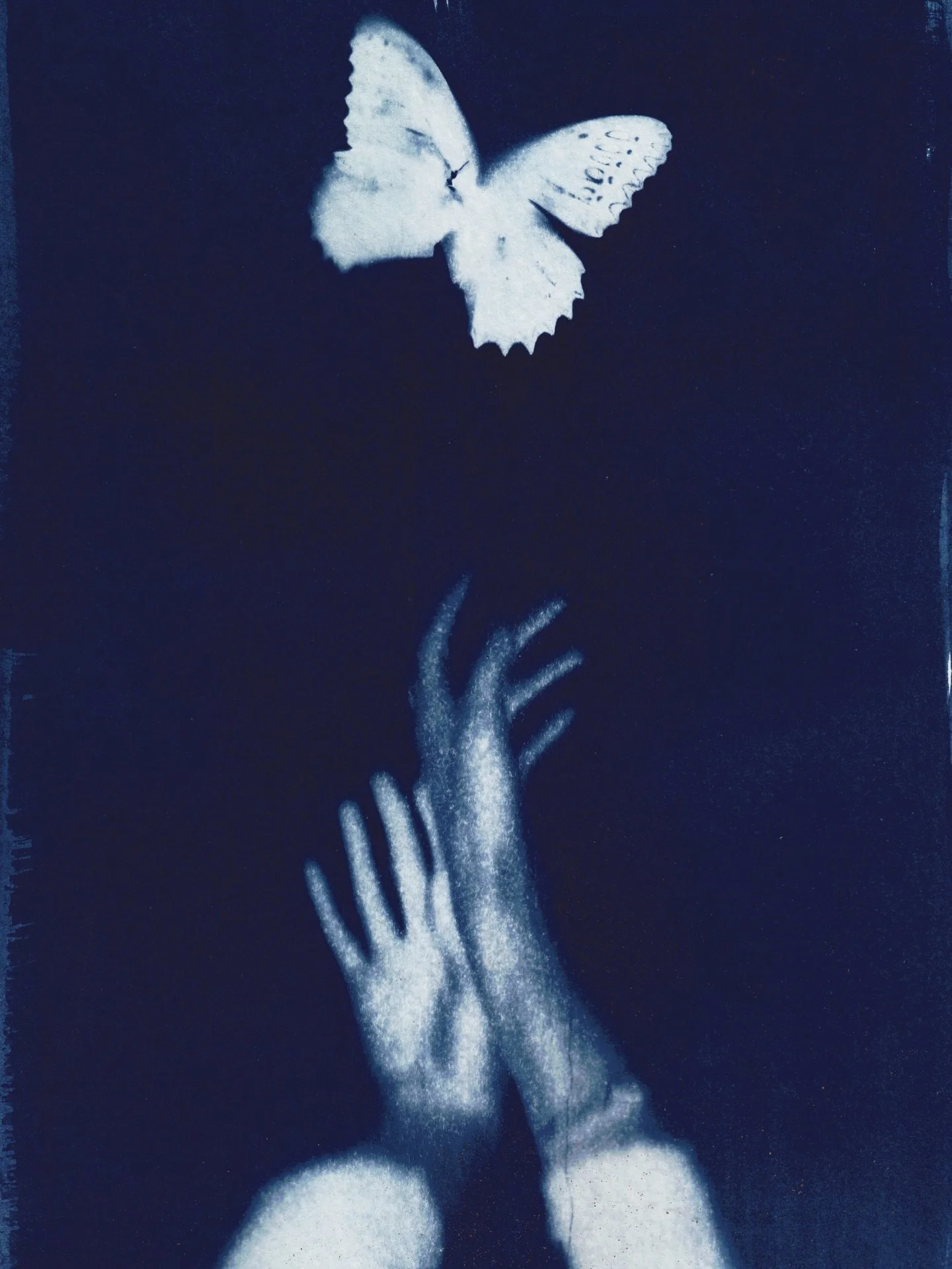 &ldquo;To be free is not merely to cast off one&rsquo;s chains, but to live in a way that respects and enhances the freedom of others.&rdquo; - Nelson Mandela