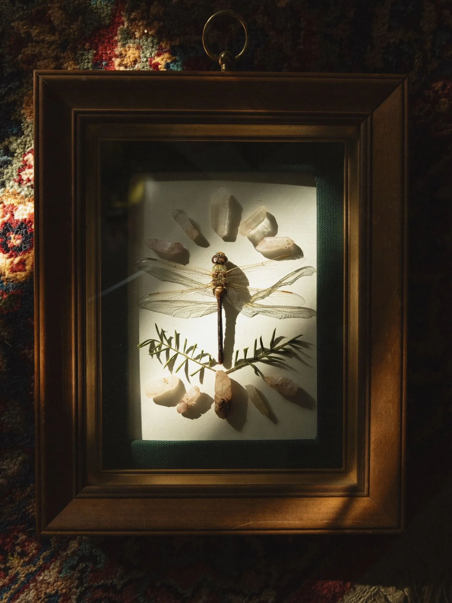 A lil gift for my mom and stepdad 🧚🏻 

All materials sustainably and ethically sourced always!
Dragonfly found by my stepdad in their backyard. 
Crystals from a collection from my grandparent&rsquo;s land in Arizona. 
Delicate, little leafies that 