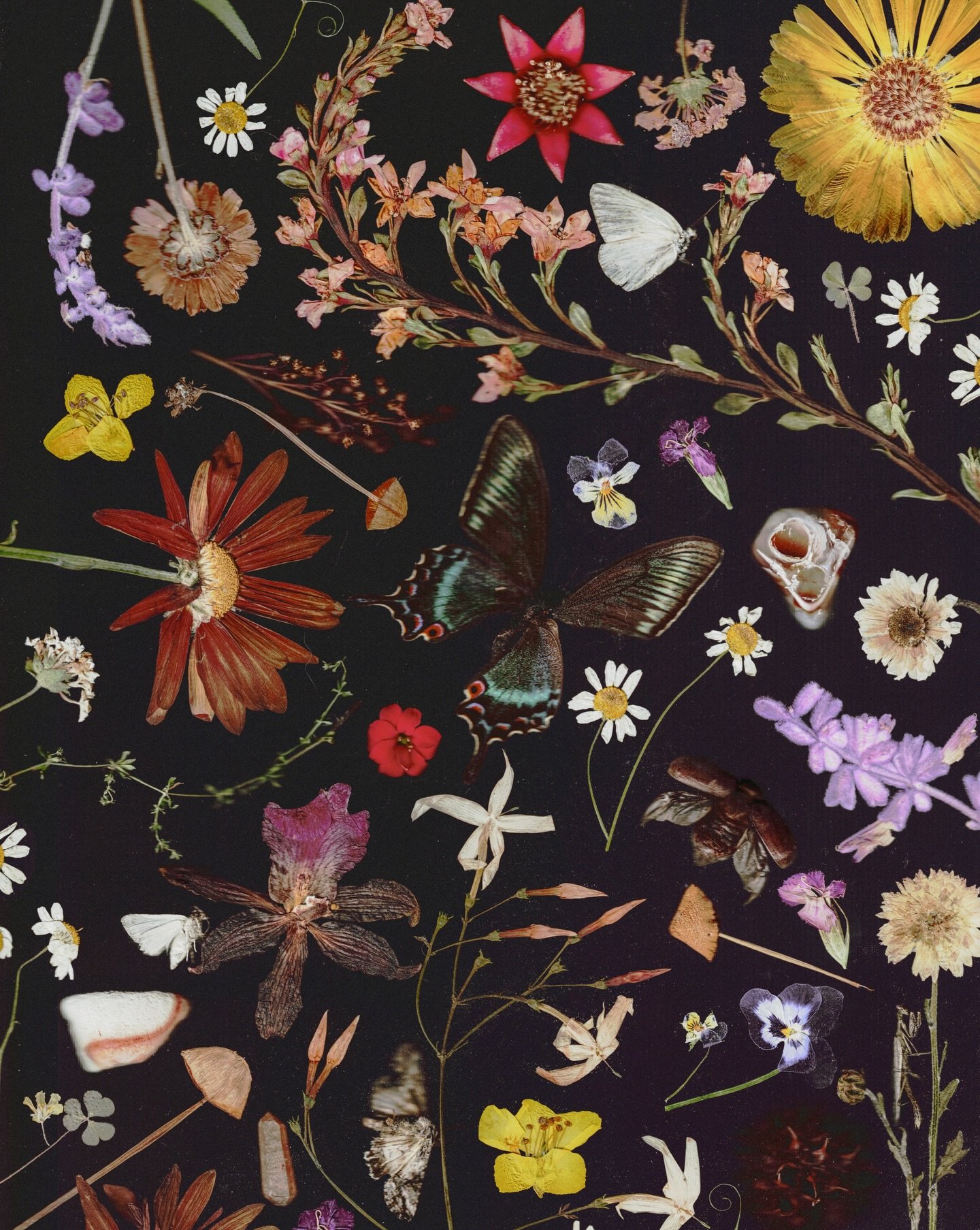 Every day is Earth Day