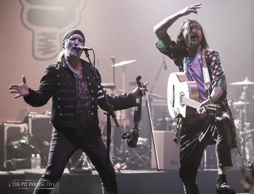 Gogol Bordello, The Wiltern