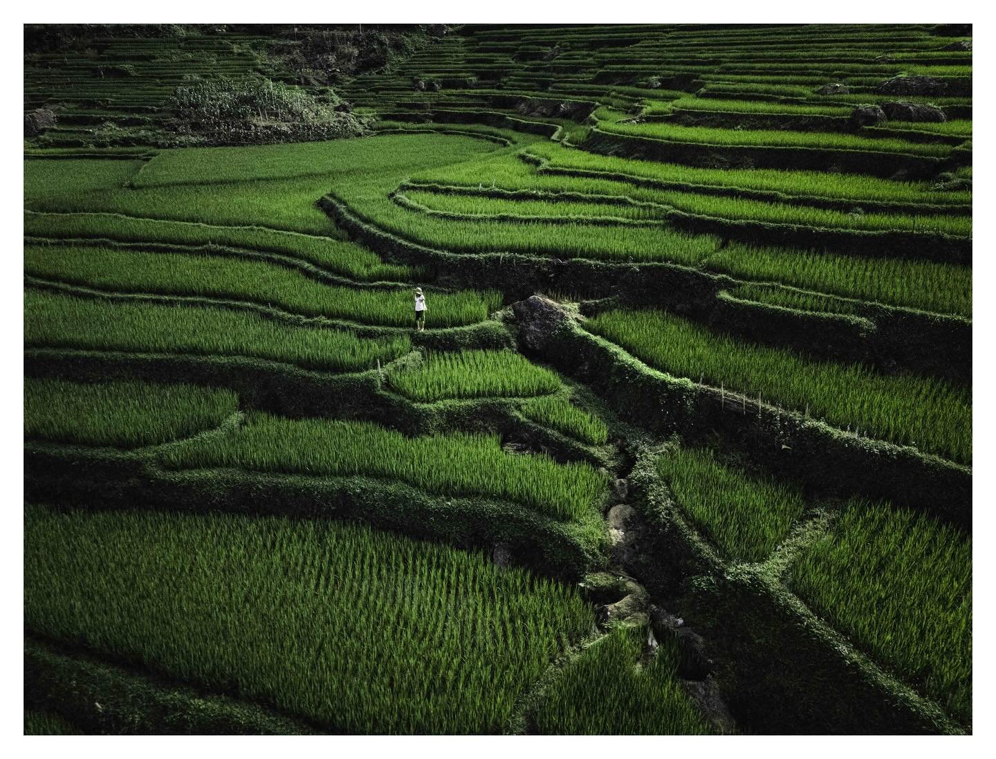 Last week marked the 50th anniversary of the reunification of North and South Vietnam and the departure of the United States Military. We drove out to the countryside to take in the landscape and culture the Vietnamese  fought for. The Vietnamese hav