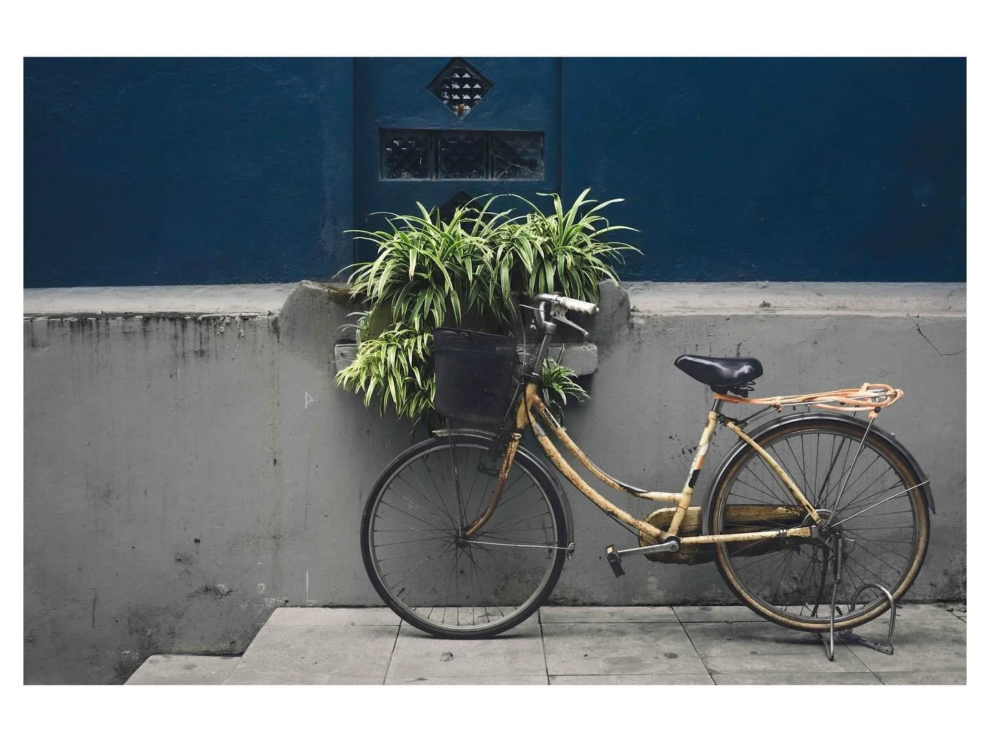 Rusted and resilient - Hon G&aacute;i, Vietnam

📷 @fujifilmx_us 
🎨 @Lightroom
&copy; Wes Marsala 2025

👆🏻hit the follow for more

#madewithlightroom #UrbanDecay #StillLife #natheoyourshot #StreetPhotography #VietnamScenes #BicycleLife #fuji