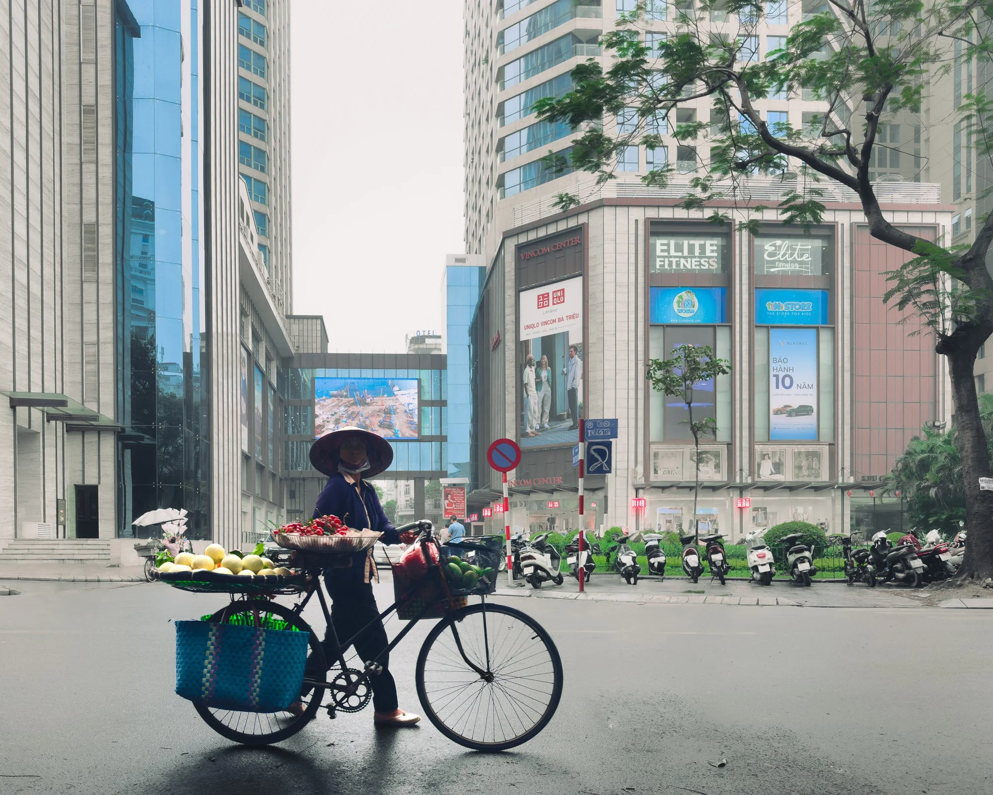 Bicycle street merchant in Hanoi, Vietnam
