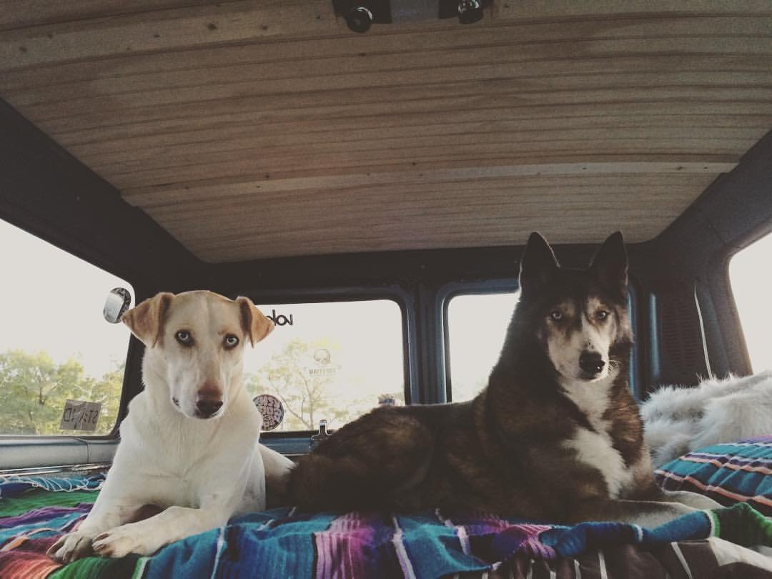 Alaska and Ashak VAN.jpg