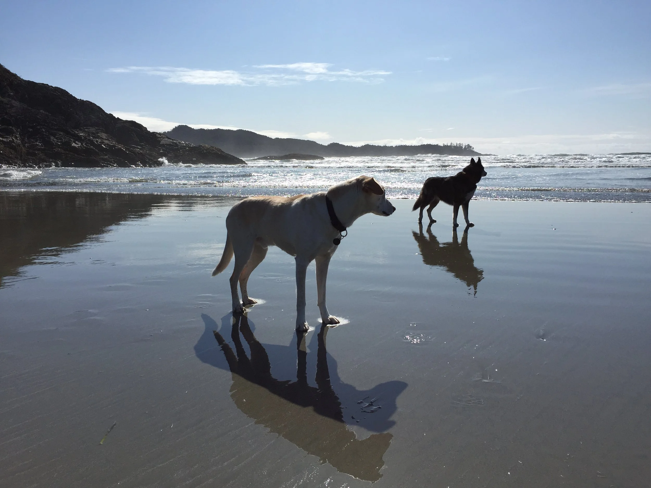 tofino.JPG