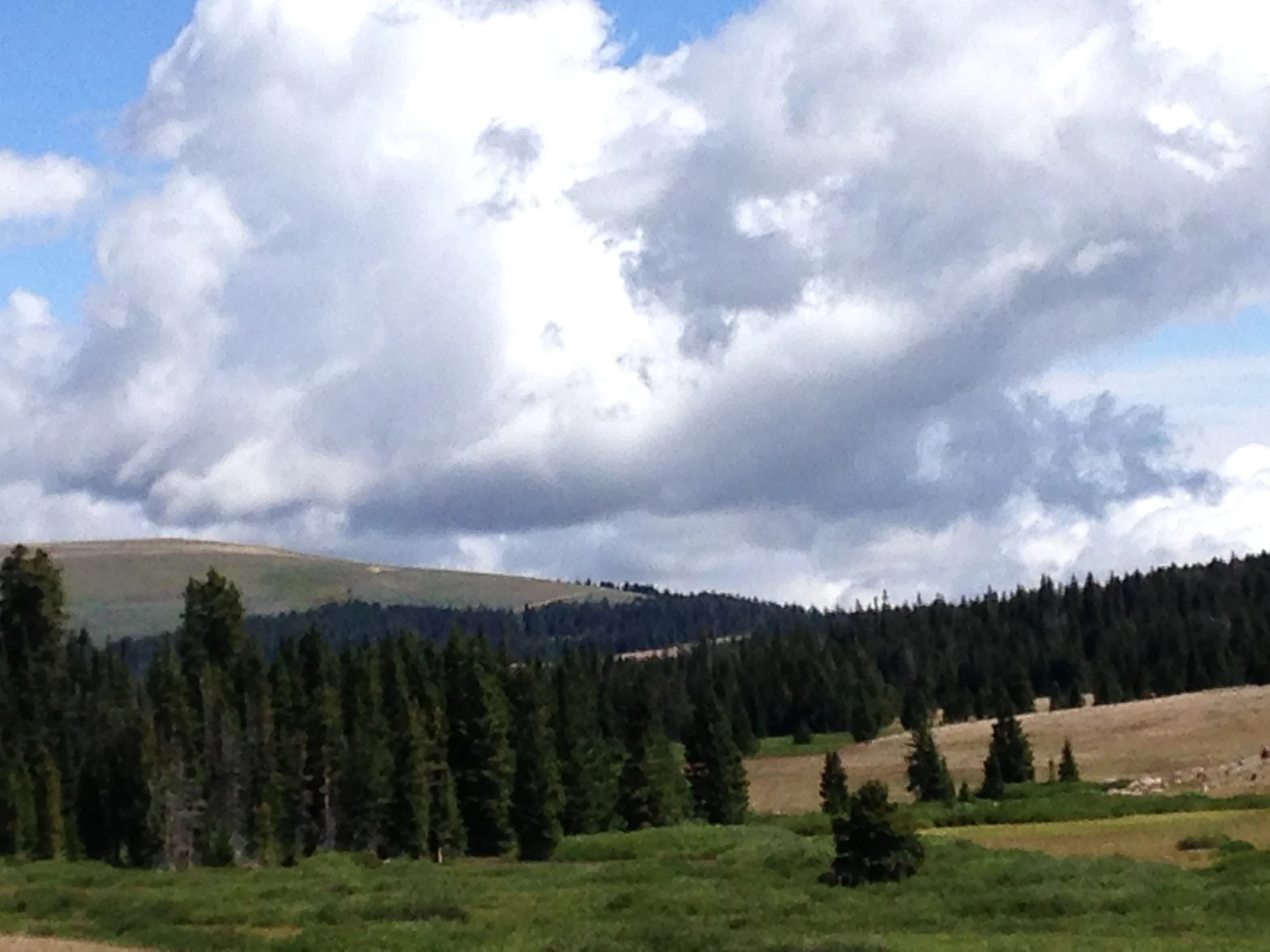 Scenery and great sky on Big Horn Mt. in Wyoming Highlands