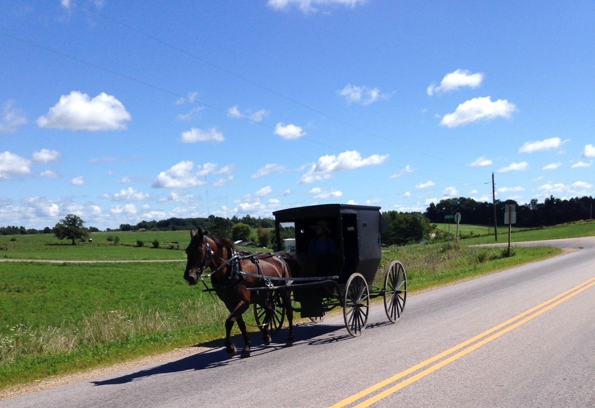We passed this buggy today in an Amish area of Wisconsin 