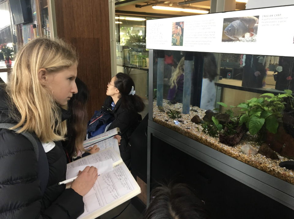 At the Exploratorium, using her project notebook to document what she observes.