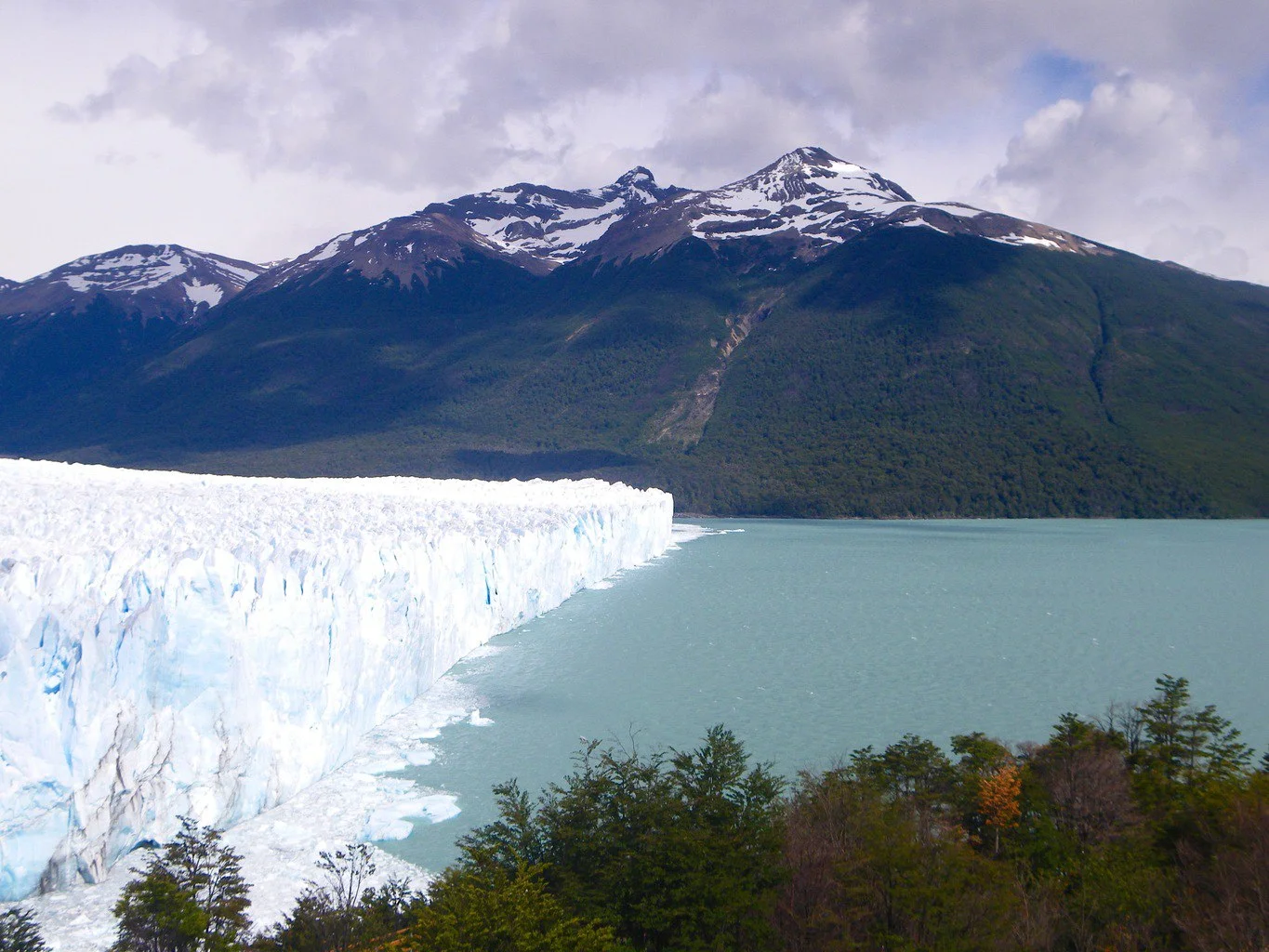 El Perrito Moreno Argentina Patagonia
