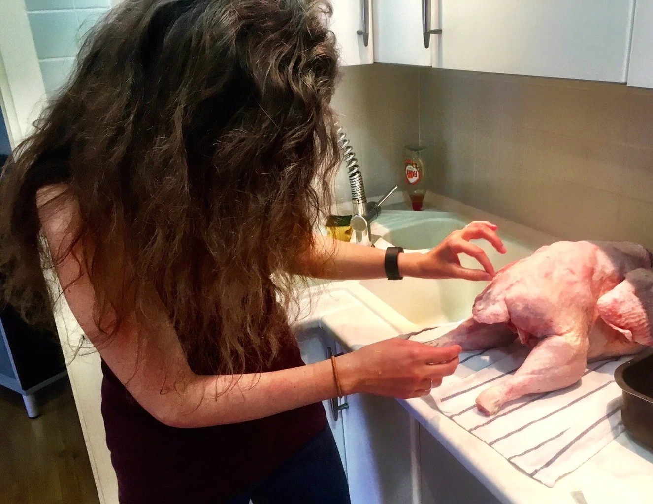 Turkey Dinner