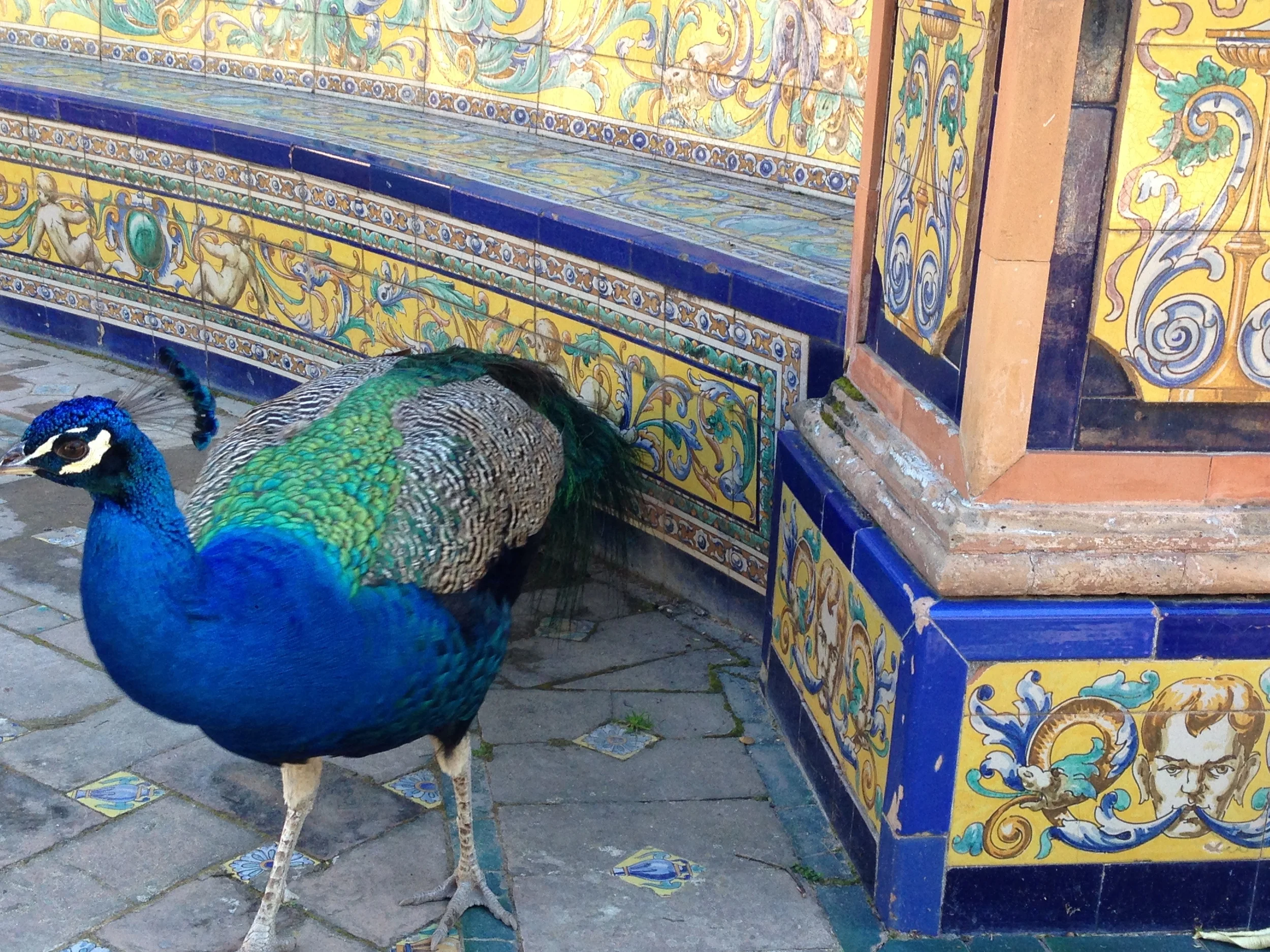 Tiling in the Alcazar