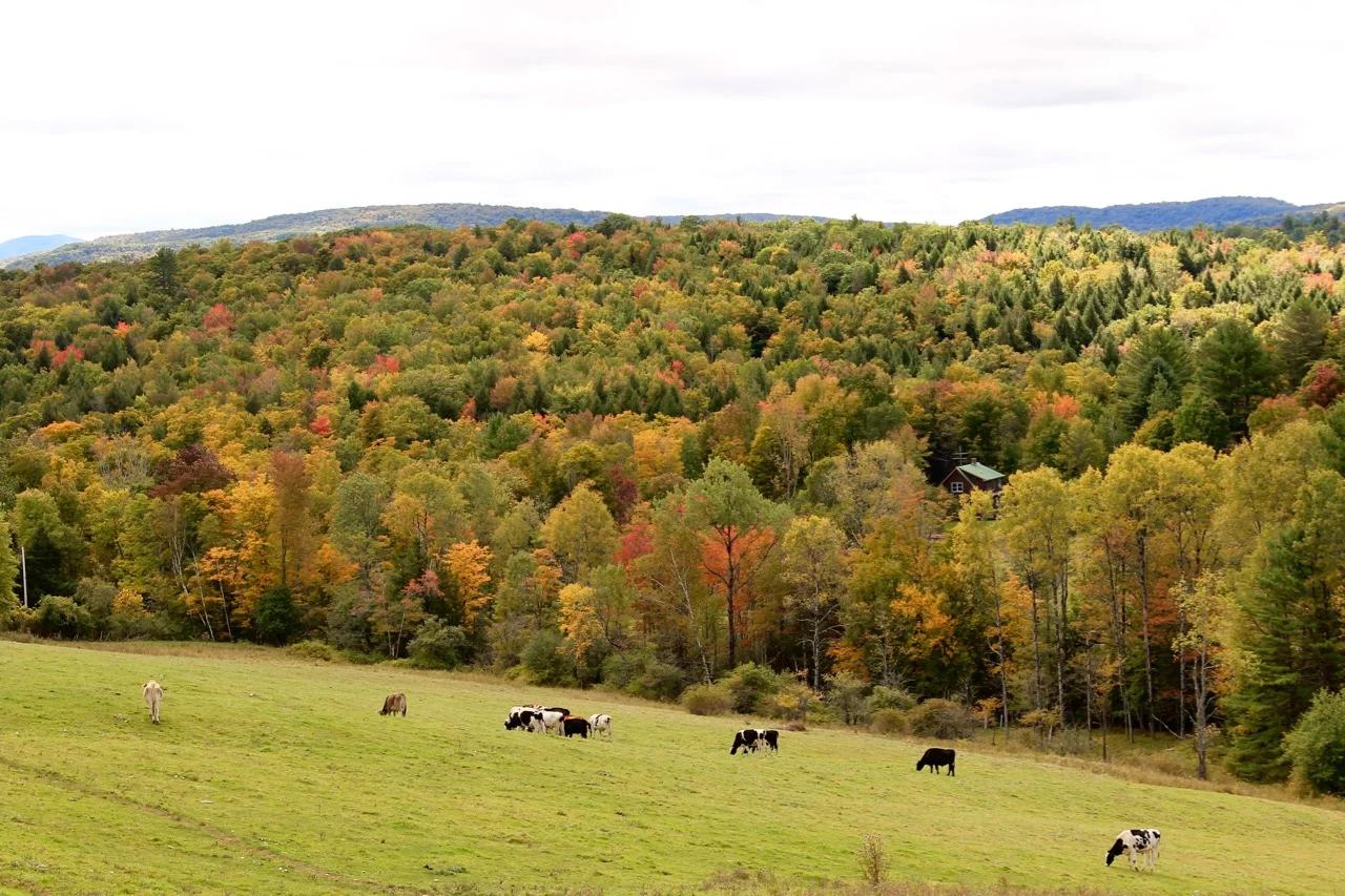 Sugarbush Farm Northeast Road Trip New England