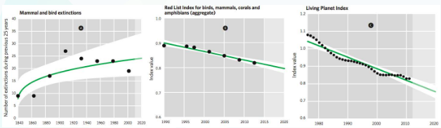 Recent trends in key measures of the extinction, extinction risk and conservation status of species, with extrapolations to 2020 assuming constant underlying processes: A) observed extinction rates of birds and mammals, showing a rising trend; B) the aggregate Red List Index of birds, mammals, amphibians and corals—significant decrease suggesting a continuing movement towards extinction; C) the Living Planet Index, with a significant decrease reflecting declines in species populations. Source: CBD, Global Biodiversity Assessment 4, 2014