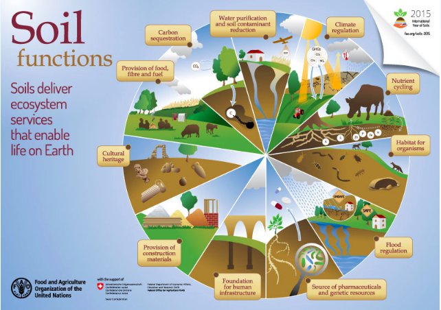Source: FAO ( http://www.fao.org/soils-2015/en/ )