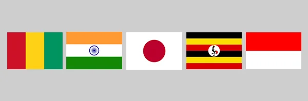 SI_Update_Flags.jpg
