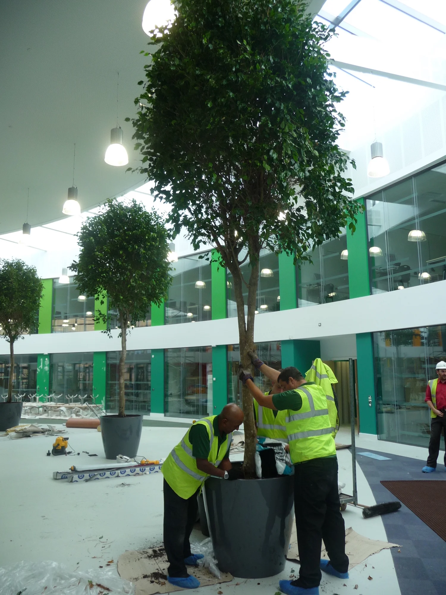 Nailsea School Project PlantCare