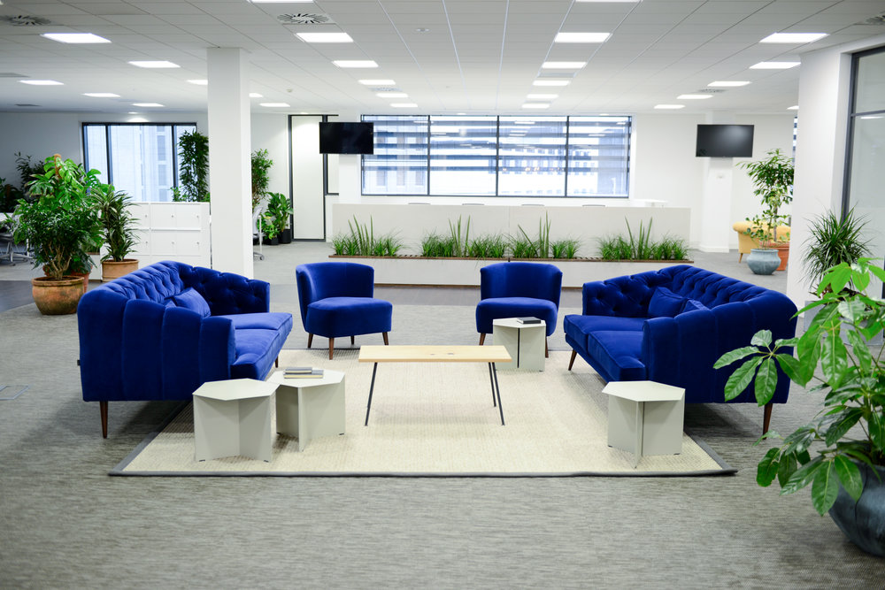 Biophilia in the workplace