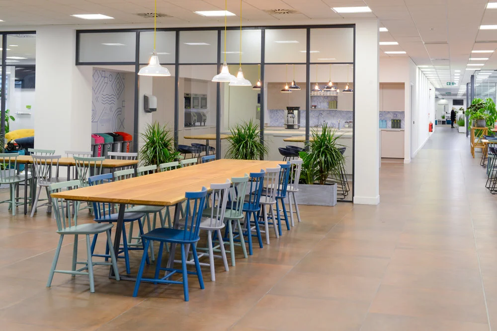 5 ways interior plants can benefit your office