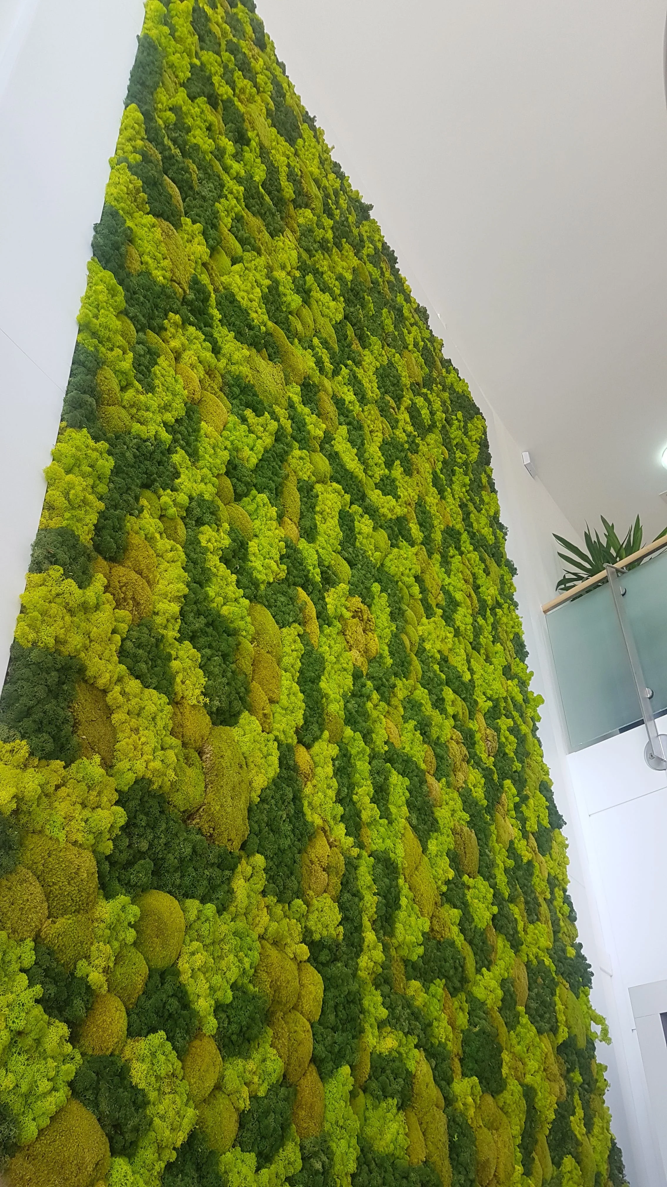 20170718_135314.jpg