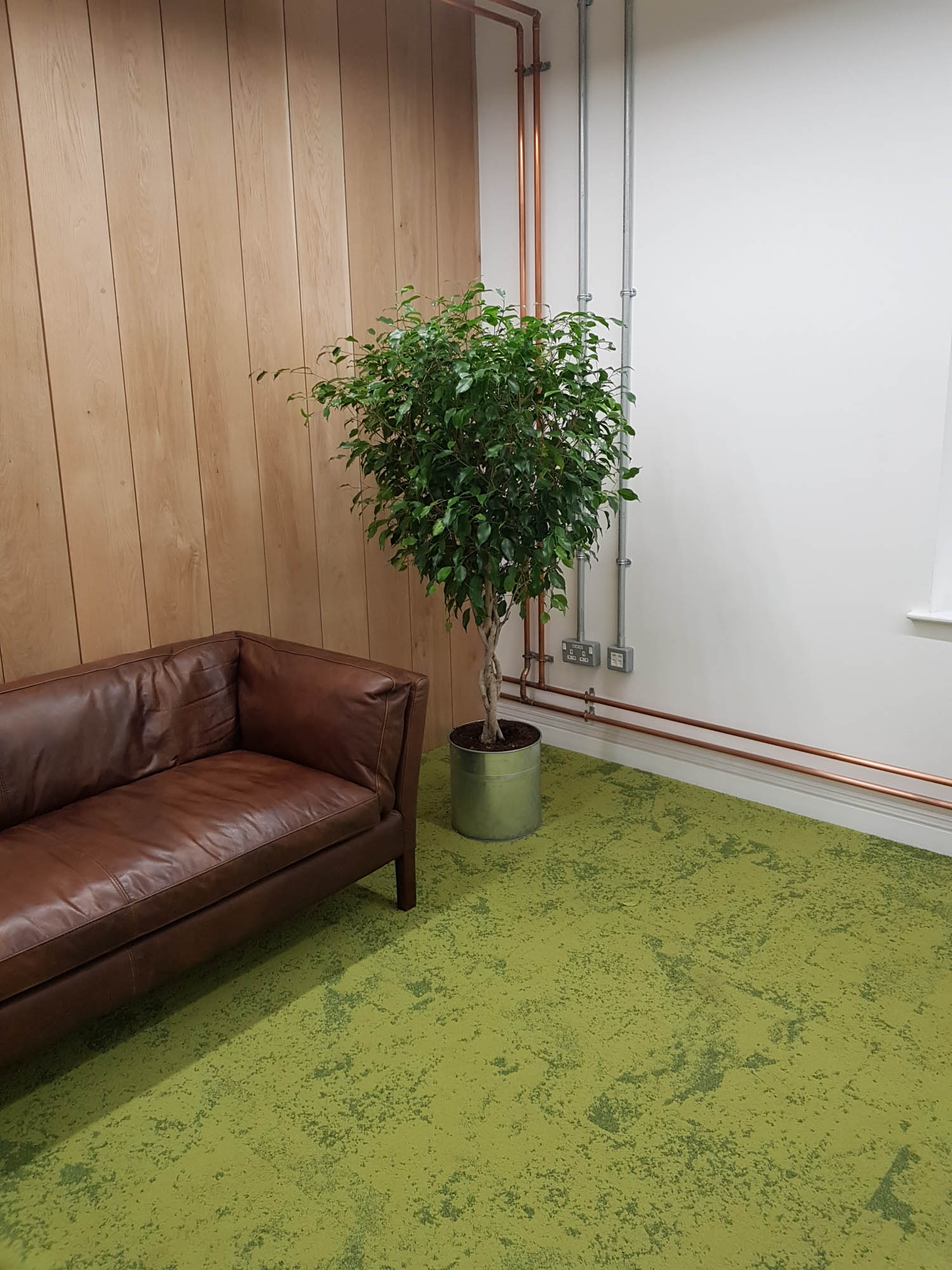cookpad-interior-plants-mosswalls-branded-planters-plantcare-bristol-image-4.jpeg