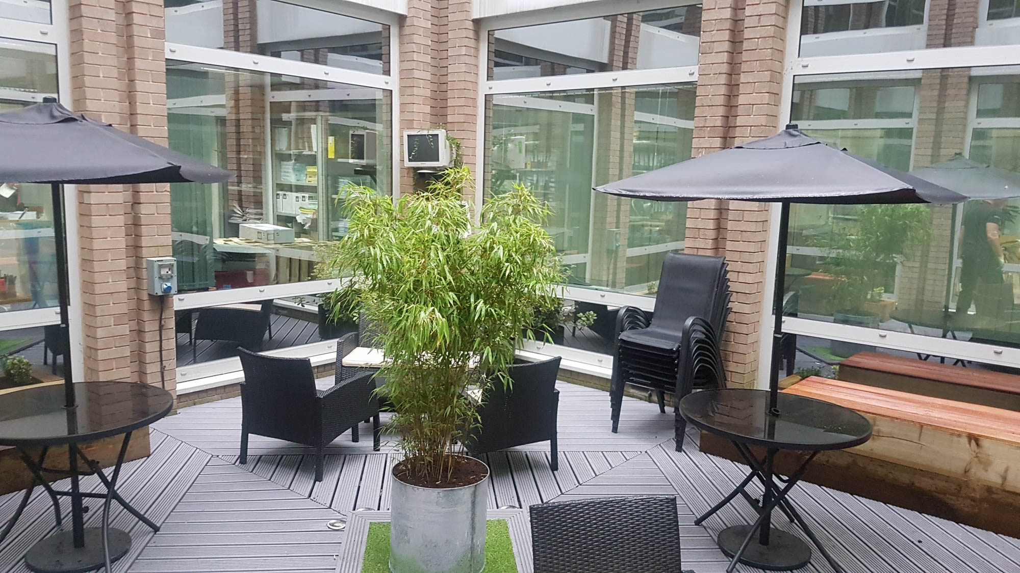 bristol-computer-society-exterior-plant-displays-plantcare-image-5.jpeg