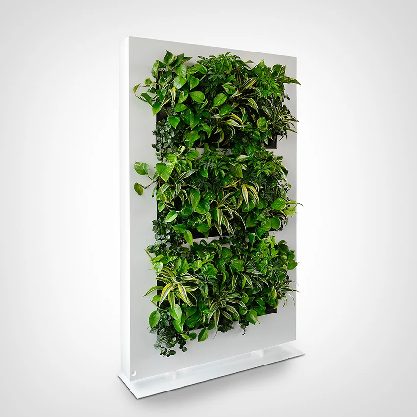 LiveDivider-side-LR.jpg