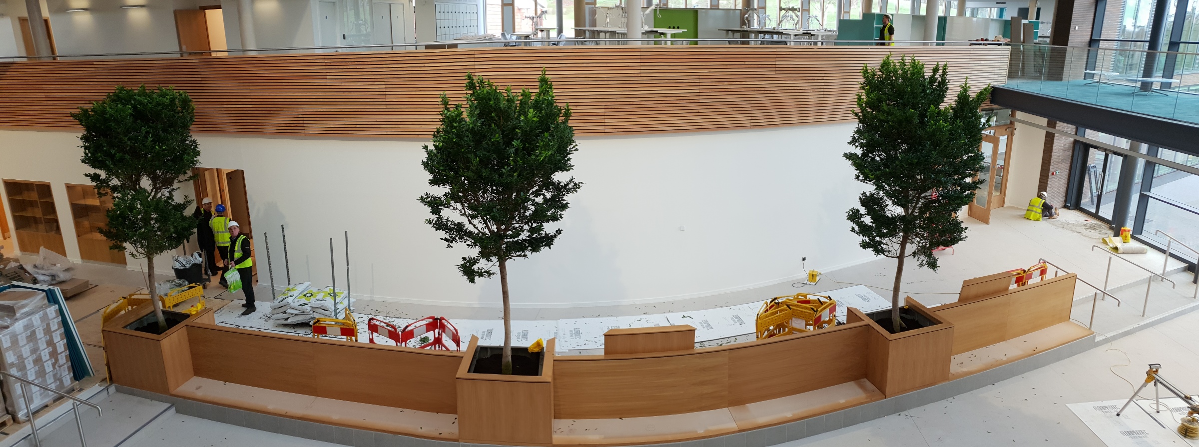 indoor-tree-internal-tree.jpg